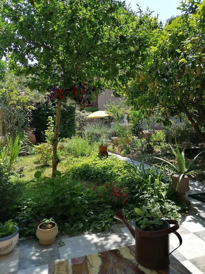 Gasthof Eco Pisa Tower Guesthouse